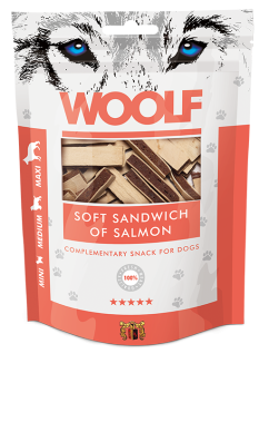 SOFT SANDWICH OF SALMON