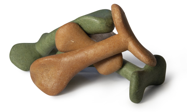 SMALL DENTAL FISHBONE FOR DOGS