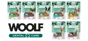 WOOLF Dental Care