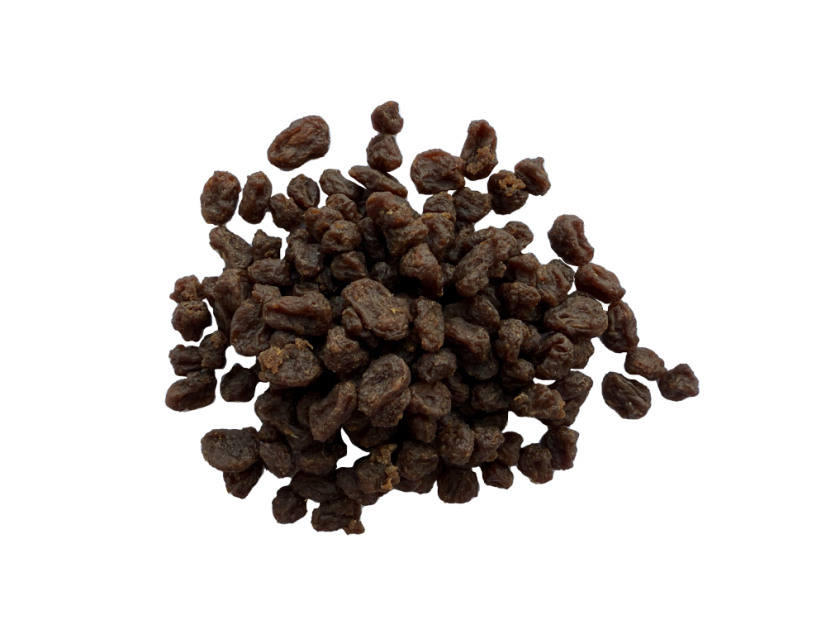 WOOLF  WildDog Soft Venison Bites
