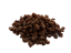 WOOLF WildDog Soft Quail Bites