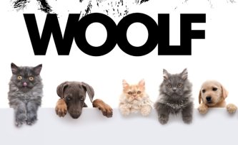 Visit us at Pet Exhibitions