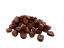WOOLF WildCat Venison Twisties